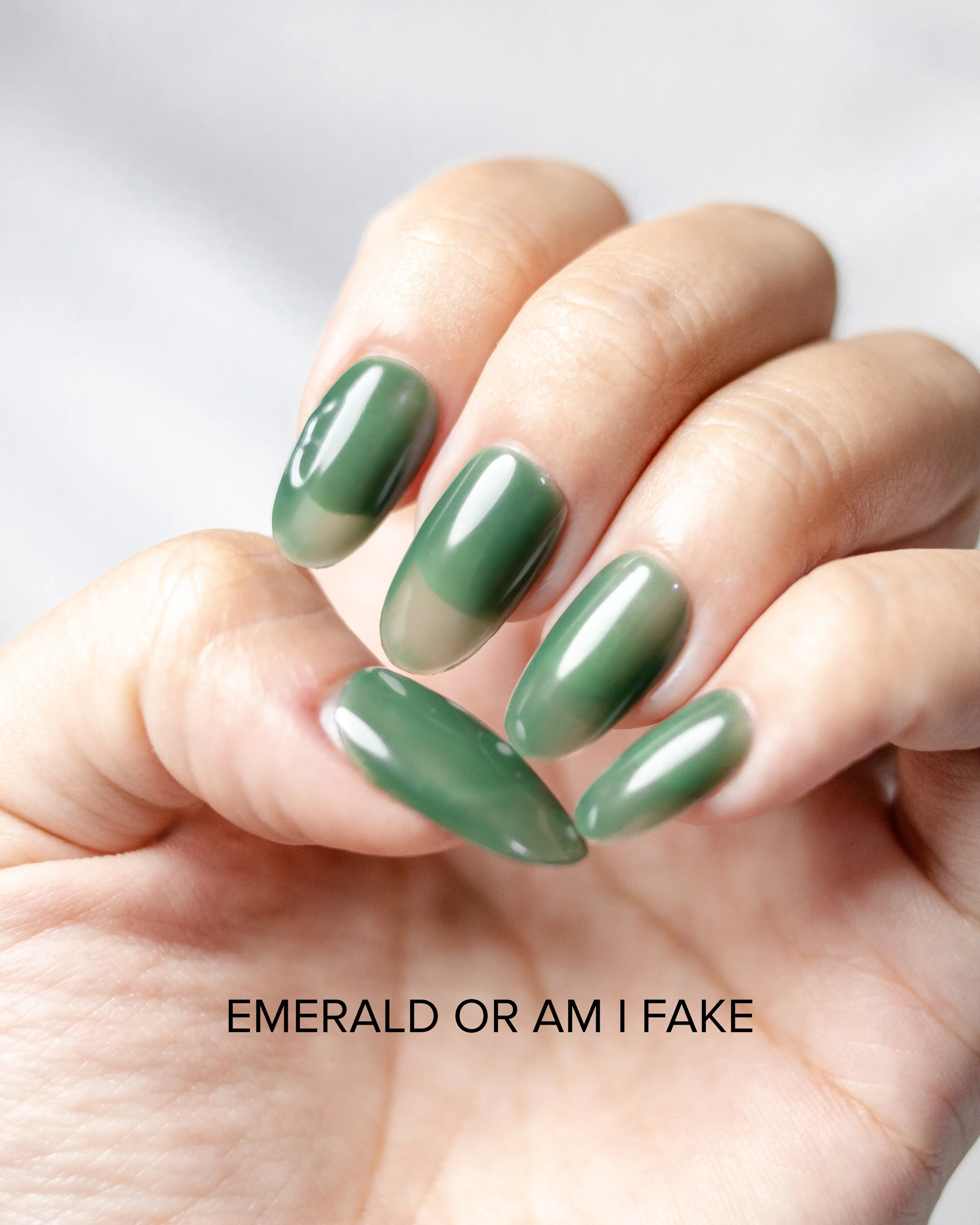 Tinted Glass Half Collection Bundle — LIGHT LACQUER
